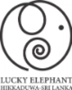 Hotel Lucky Elephant